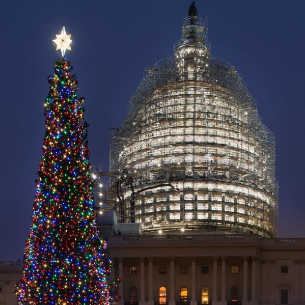 Capitol Christmas Tree lit