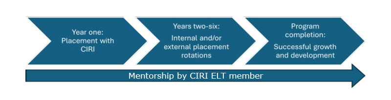 Yah Mentorship Timeline